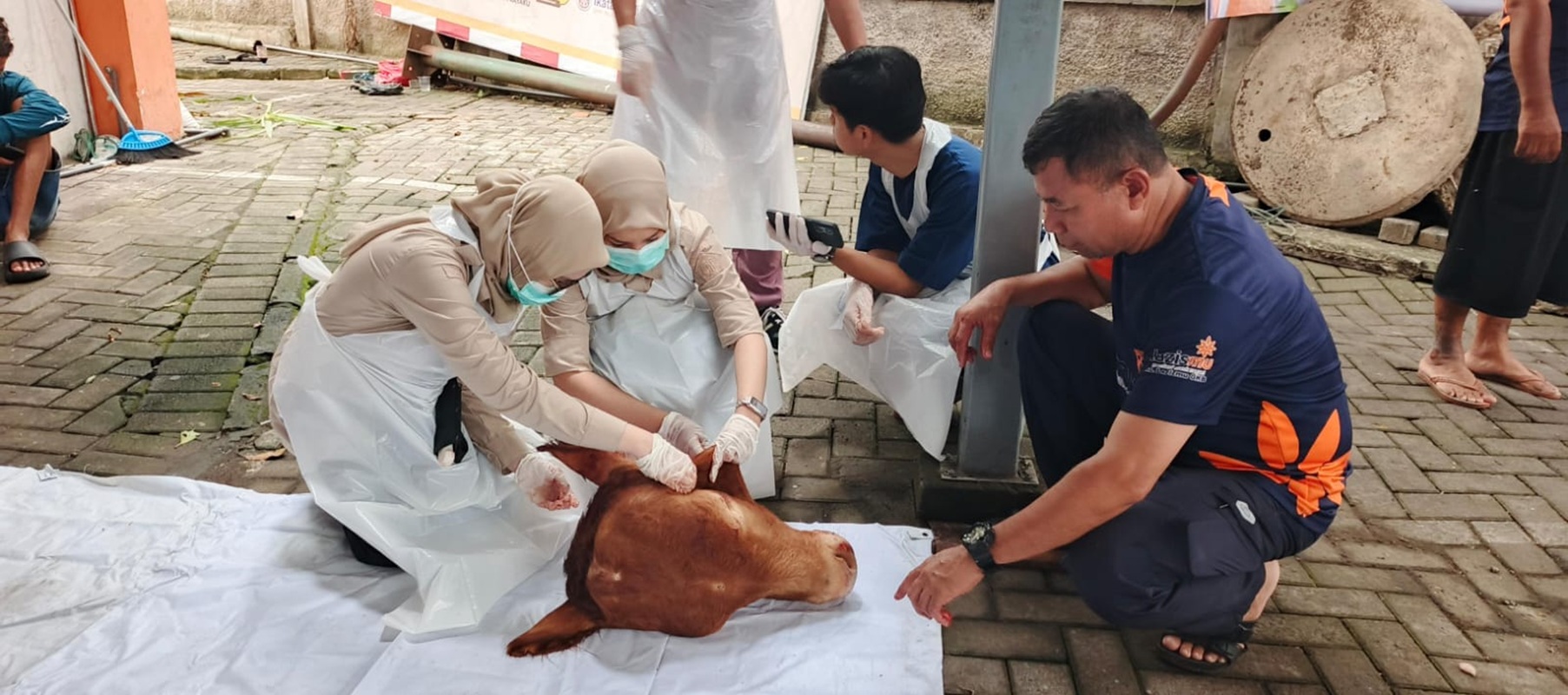 Cek Dagung Kurban